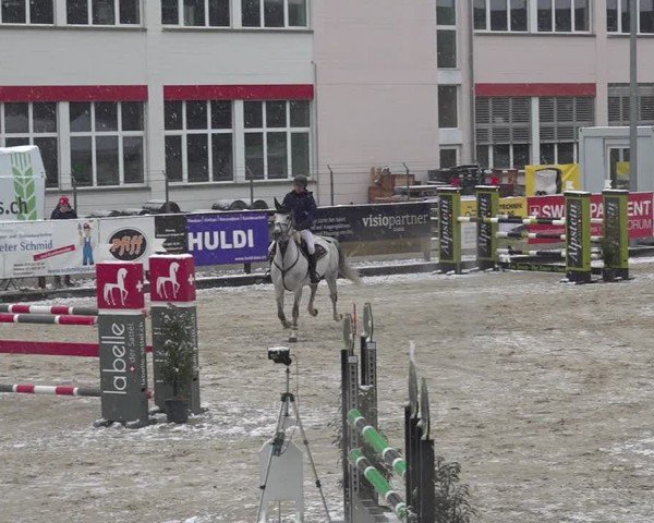 Reitturnier Sulgen 2024