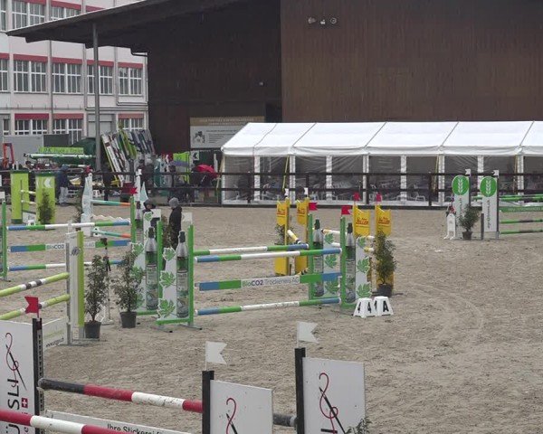 Reitturnier Sulgen 2024