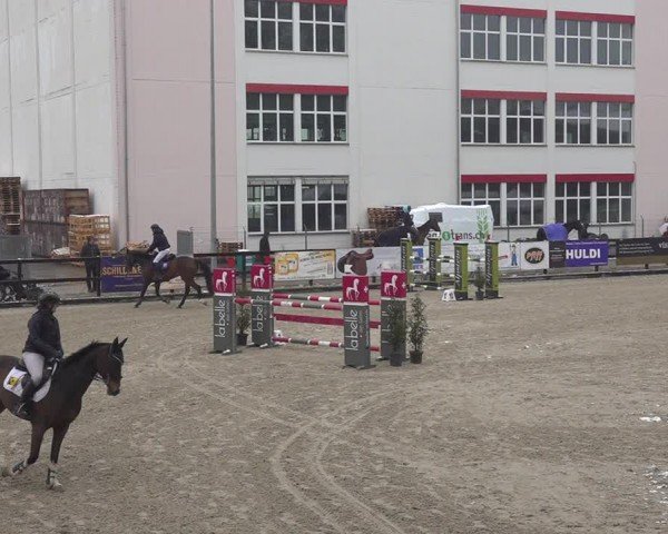 Reitturnier Sulgen 2024