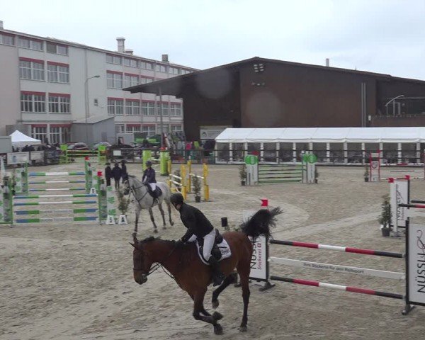 Reitturnier Sulgen 2024
