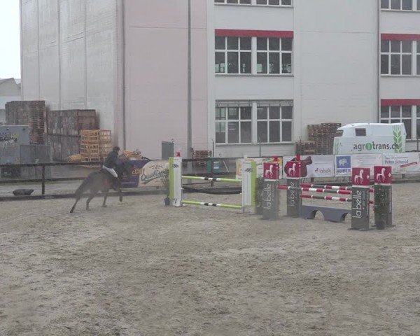 Reitturnier Sulgen 2024