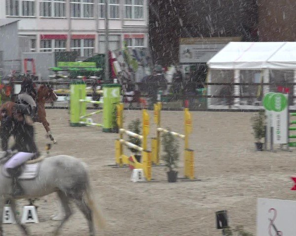 Reitturnier Sulgen 2024