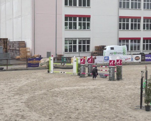 Reitturnier Sulgen 2024