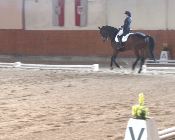 Reitturnier Weikersdorf am Steinfelde 2024