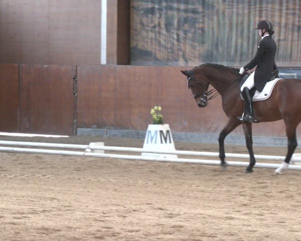 Reitturnier Weikersdorf am Steinfelde 2024