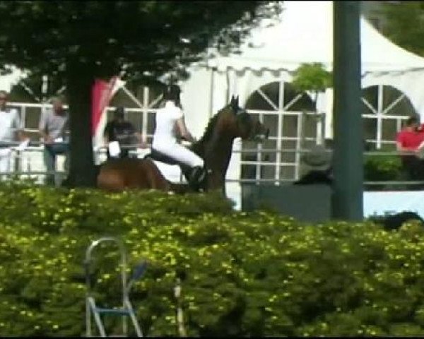 Vosswinkeler Reitertage CSN 2011