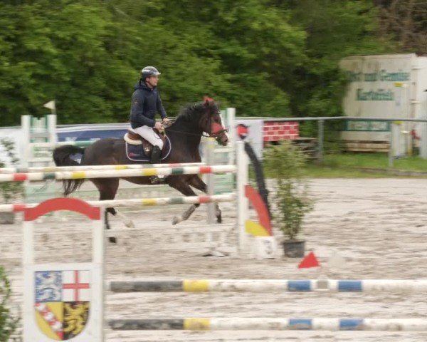 Reitturnier Neunkirchen-City 2024