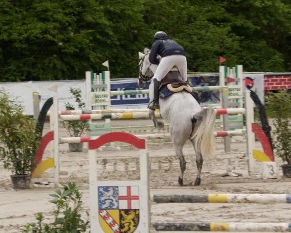 Reitturnier Neunkirchen-City 2024
