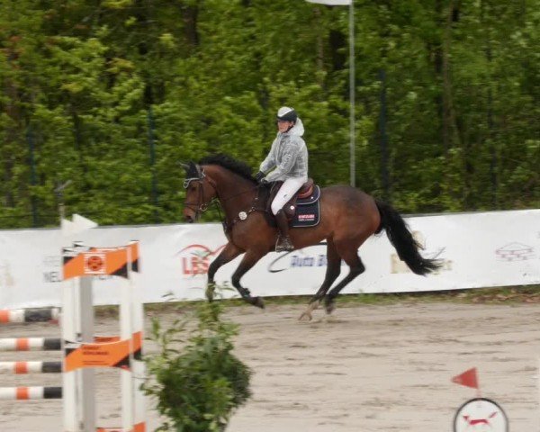 Reitturnier Neunkirchen-City 2024