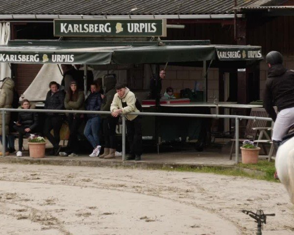 Reitturnier Neunkirchen-City 2024