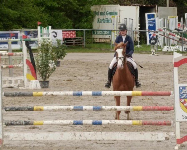 Reitturnier Neunkirchen-City 2024