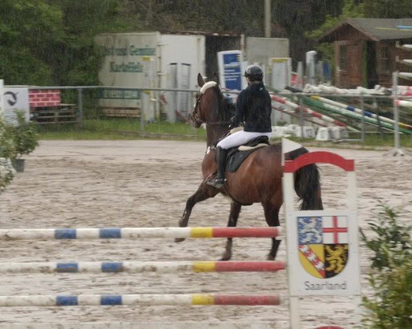 Reitturnier Neunkirchen-City 2024
