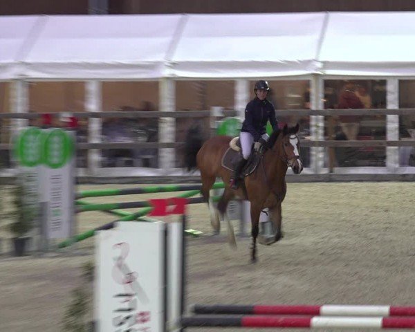Reitturnier Sulgen 2024