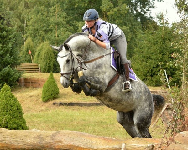 jumper Cool Corny (Hanoverian, 2011, from Corlensky G)
