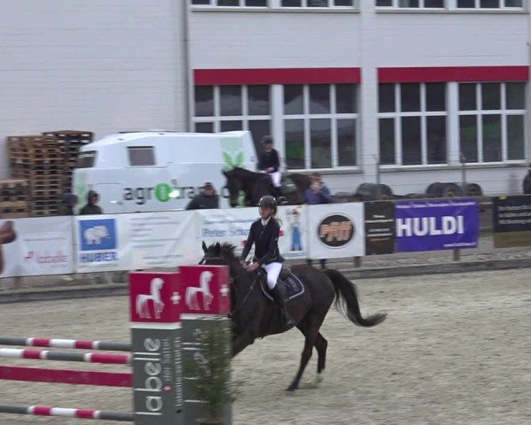 Reitturnier Sulgen 2024