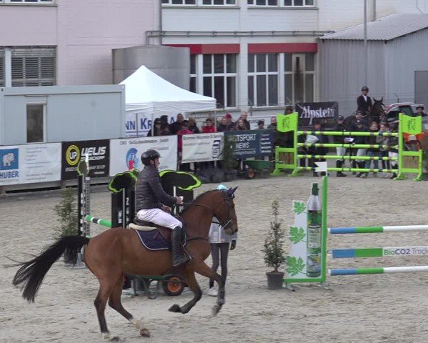 Reitturnier Sulgen 2024