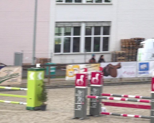 Reitturnier Sulgen 2024
