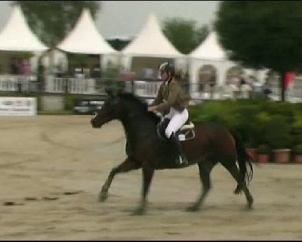 Vosswinkeler Reitertage CSN 2011