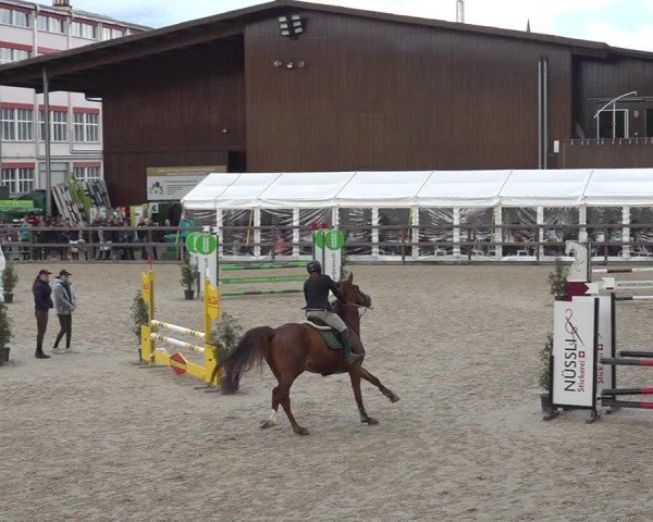 Reitturnier Sulgen 2024