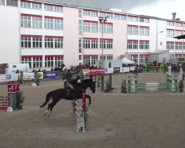 Reitturnier Sulgen 2024
