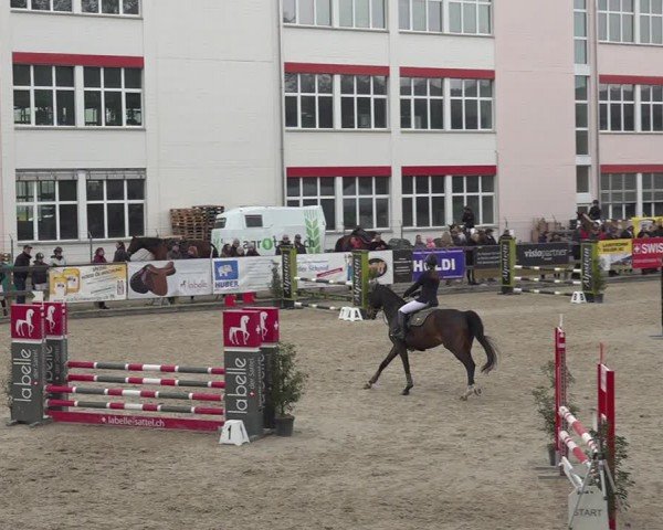 Reitturnier Sulgen 2024