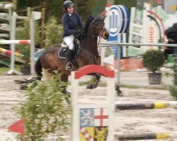 Reitturnier Neunkirchen-City 2024