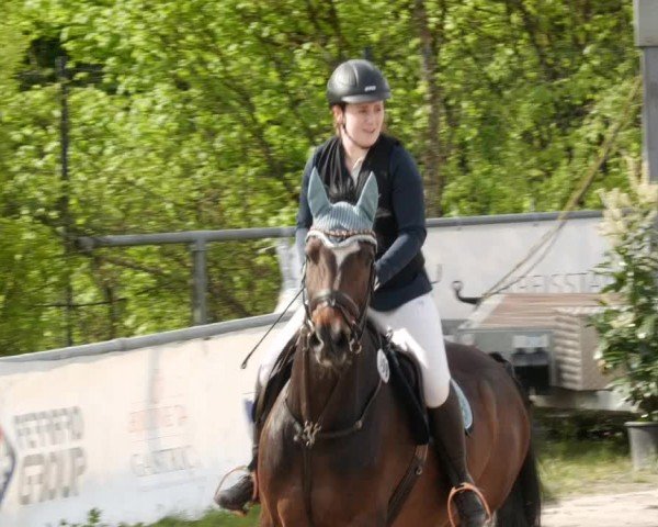 Reitturnier Neunkirchen-City 2024