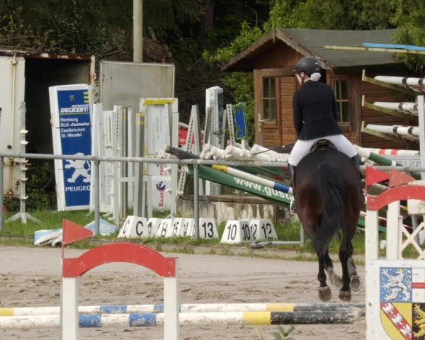 Reitturnier Neunkirchen-City 2024