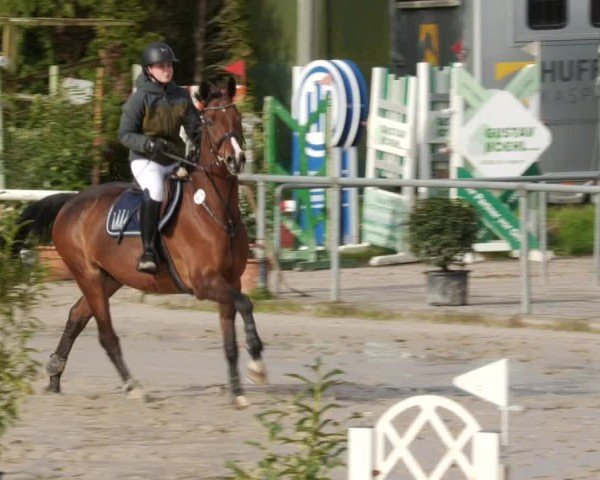Reitturnier Neunkirchen-City 2024