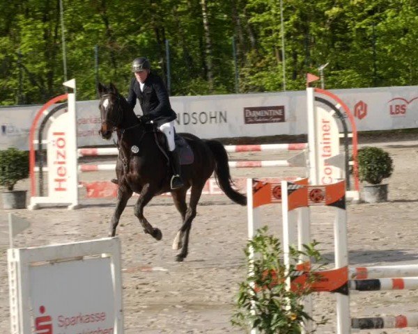 Reitturnier Neunkirchen-City 2024
