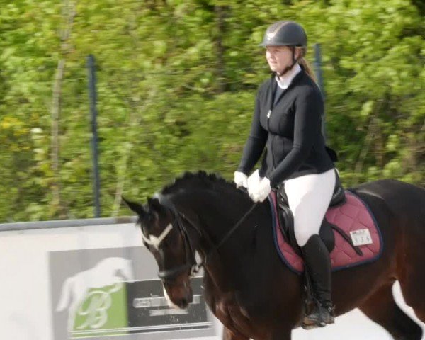 Reitturnier Neunkirchen-City 2024