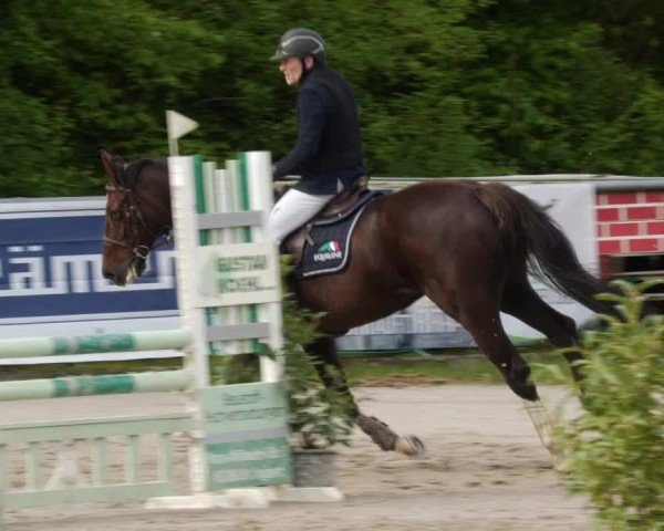 Reitturnier Neunkirchen-City 2024