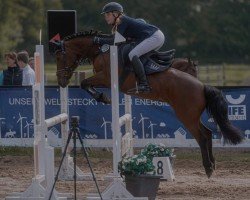 dressage horse Fina La Belle (Pony without race description, 2012)