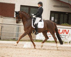 jumper Don Moriarty (Oldenburg, 2010, from Diamond Hit)