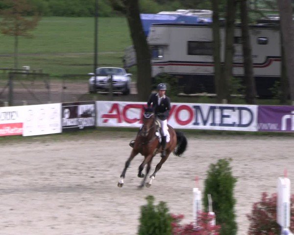 Reitturnier Westergellersen 2024