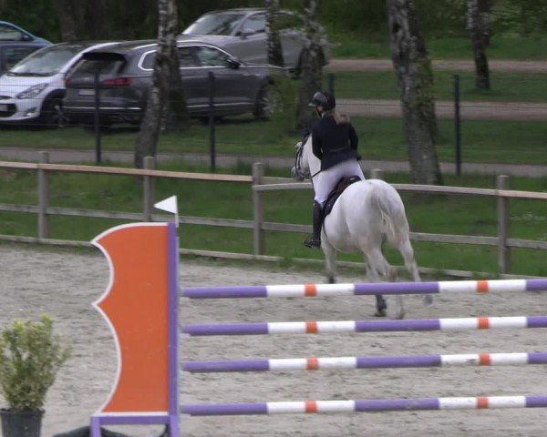 Reitturnier Westergellersen 2024