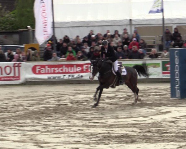 Lenklarer Reitertage Werne 2024