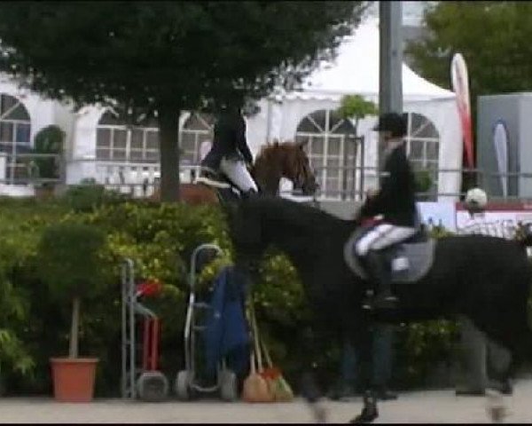 Vosswinkeler Reitertage CSN 2011