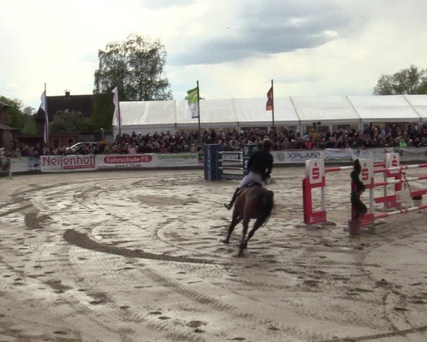 Reitturnier Werne-Lenklar 2024