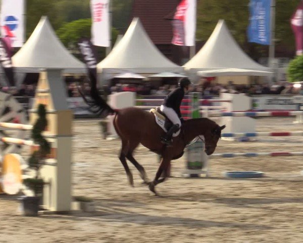 Lenklarer Reitertage Werne 2024