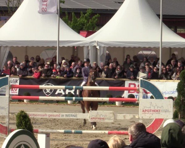 Lenklarer Reitertage Werne 2024