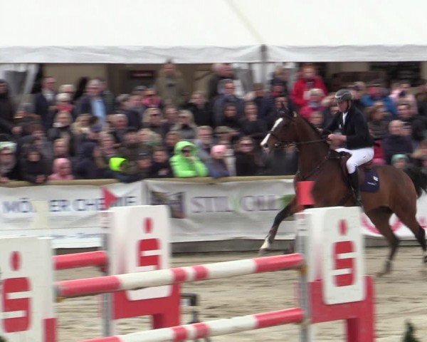 Lenklarer Reitertage Werne 2024
