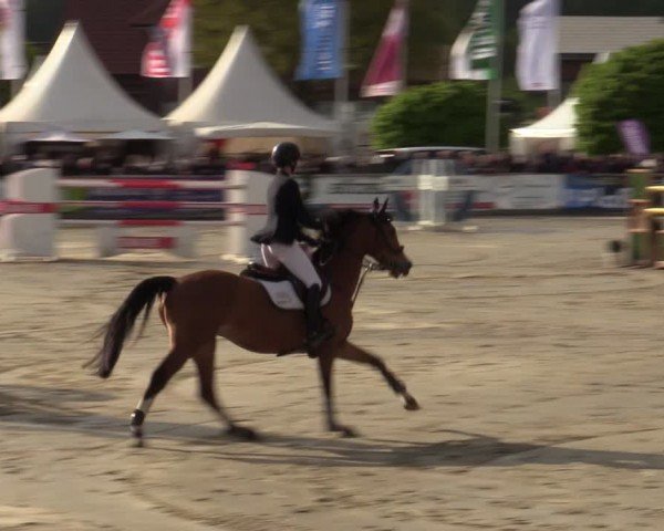 Lenklarer Reitertage Werne 2024