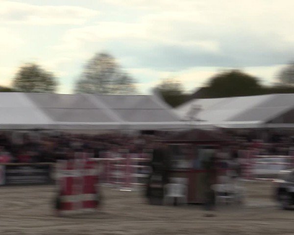 Lenklarer Reitertage Werne 2024