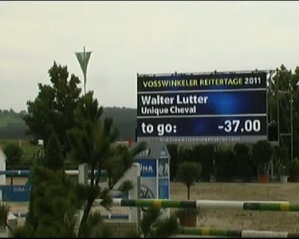 Vosswinkeler Reitertage CSN 2011