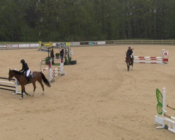 Reitturnier Tiefenhof/Opf. 2024
