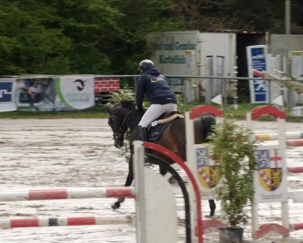 Reitturnier Neunkirchen-City 2024