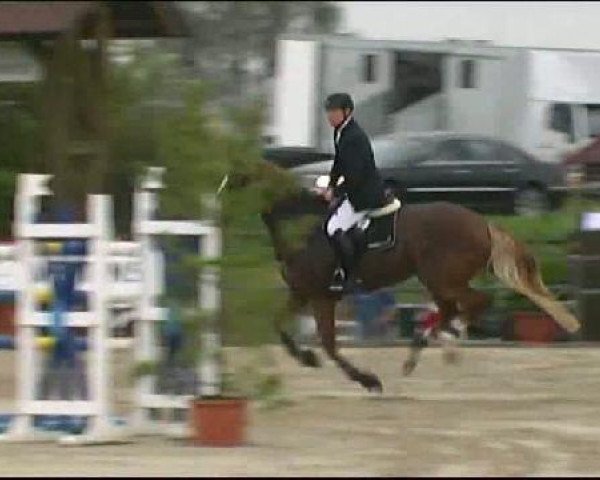 Vosswinkeler Reitertage CSN 2011