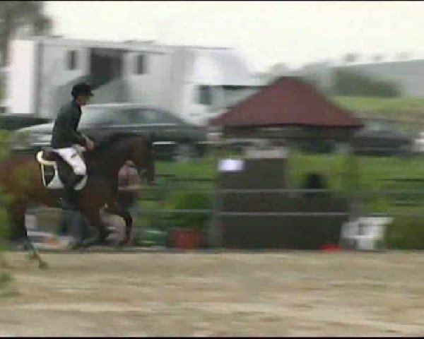 Jezdecký turnaj Arnsberg-Voßwinkel 2011