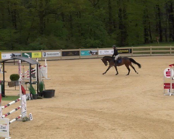 Reitturnier Tiefenhof/Opf. 2024
